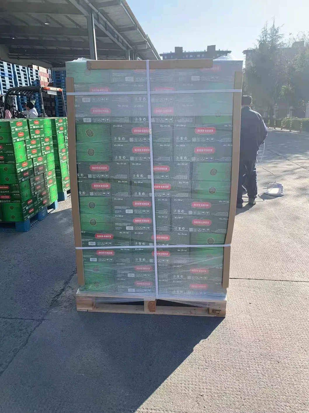 Wholesale Beer Prices Alcoholic Beverage OEM Brand Beer 330ml Can Beer