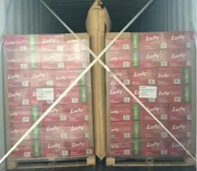 Wholesale Beer Prices Alcoholic Beverage OEM Brand Beer 330ml Can Beer