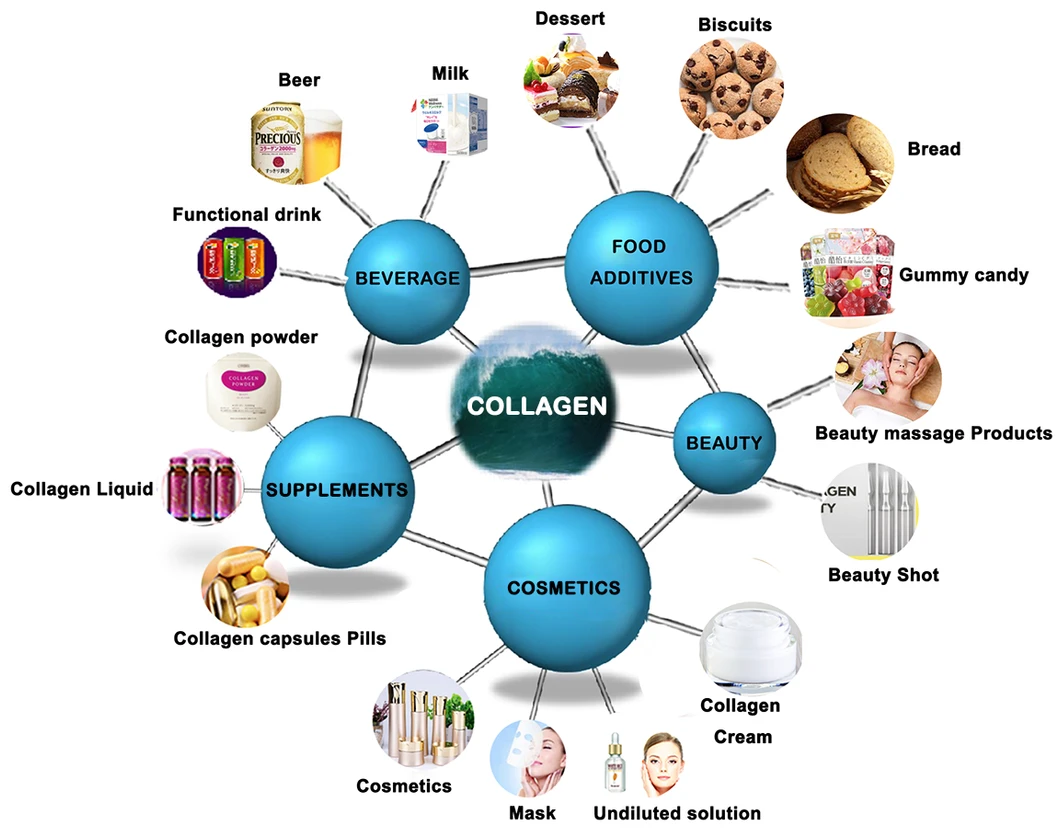 Collagen Type II for Joint Health Ingredient