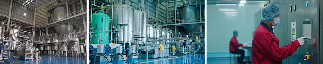 Collagen Type II for Joint Health Ingredient