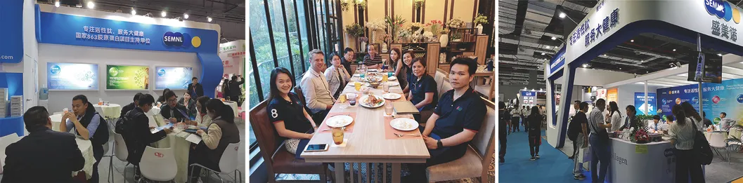 Collagen Type II for Joint Health Ingredient