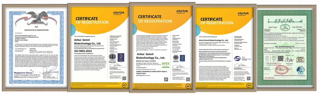 Collagen Type II for Joint Health Ingredient