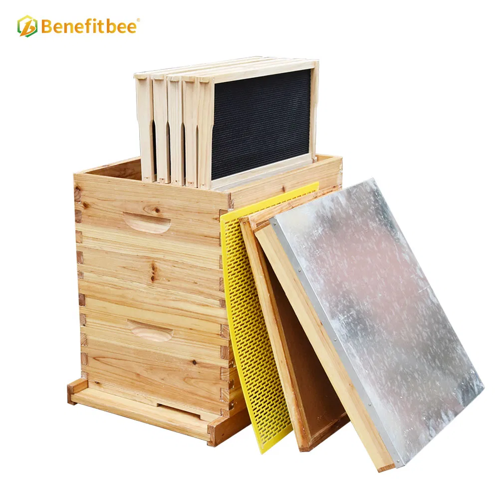Factory Wholesale Beekeeping Equipment Langstroth Beehive Kit Bee Hive Box