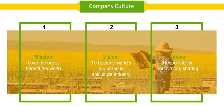 Factory Wholesale Beekeeping Equipment Langstroth Beehive Kit Bee Hive Box