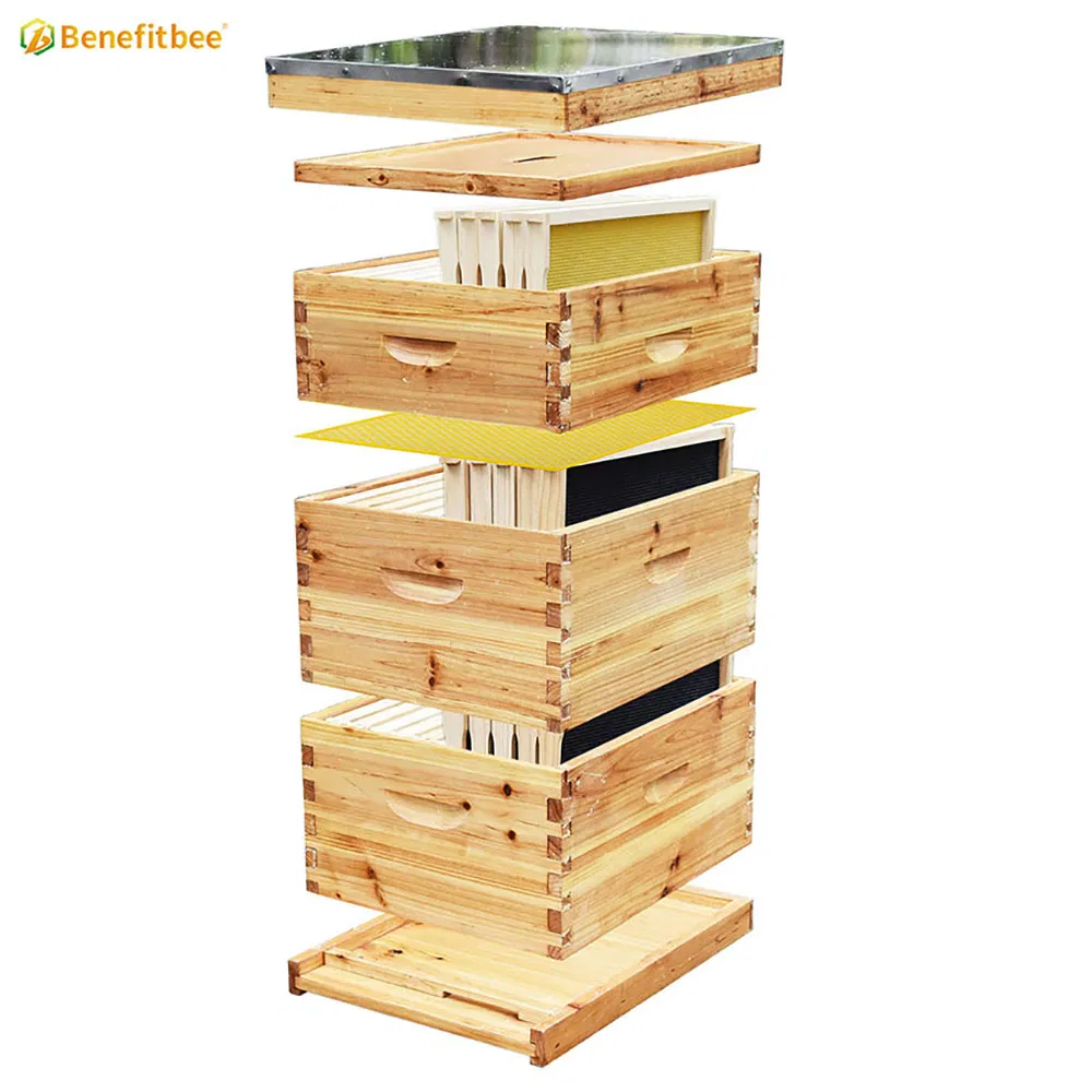 Factory Wholesale Beekeeping Equipment Langstroth Beehive Kit Bee Hive Box