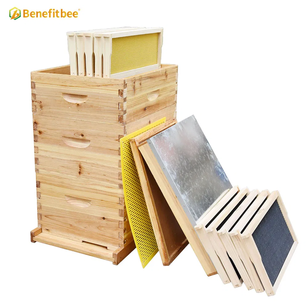 Factory Wholesale Beekeeping Equipment Langstroth Beehive Kit Bee Hive Box