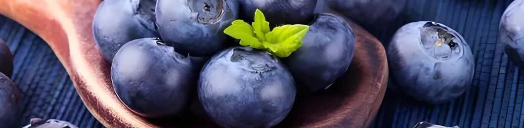 Natural Blueberry Recipes-Antioxidant Boost Recipes for Daily Nutrition Health