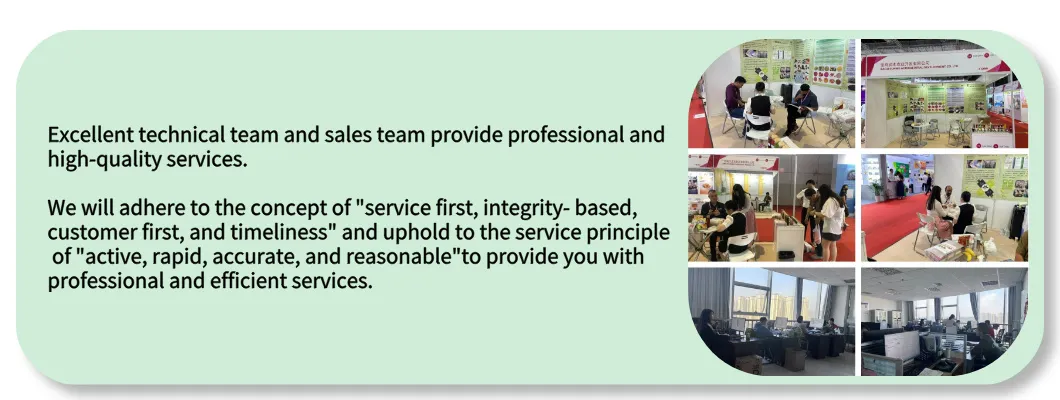 Natural Blueberry Recipes-Antioxidant Boost Recipes for Daily Nutrition Health