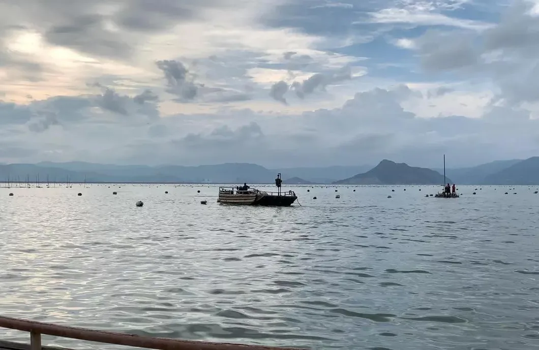 Organic Shirakiku Dried Dashi Kombu Kelp Konbu, Dashima or Haidai Kombu Seaweed Algae