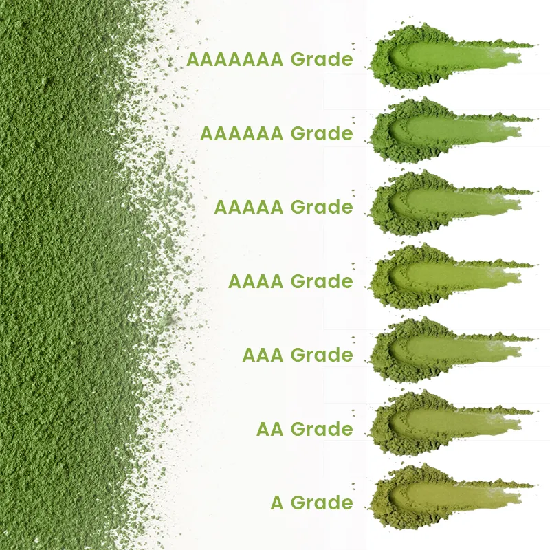 Factory Direct Supply Green Tea Extract 2A Natural Organic Matcha Powder