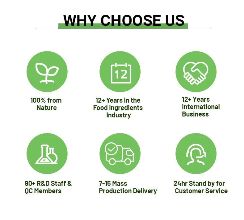 Factory Direct Supply Green Tea Extract 2A Natural Organic Matcha Powder