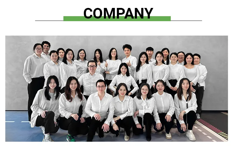 Factory Direct Supply Green Tea Extract 2A Natural Organic Matcha Powder