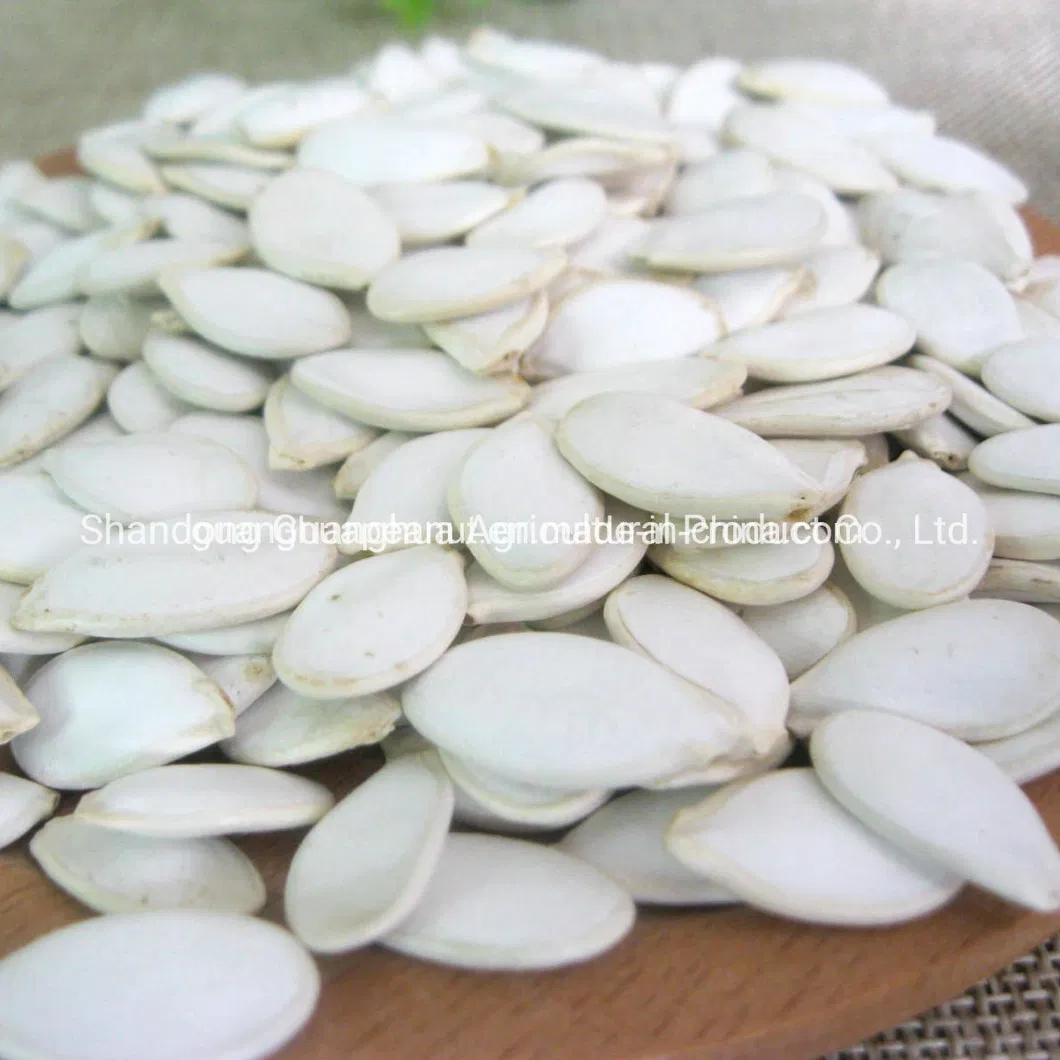 New Crop Pumpkin Seeds 2025 From China