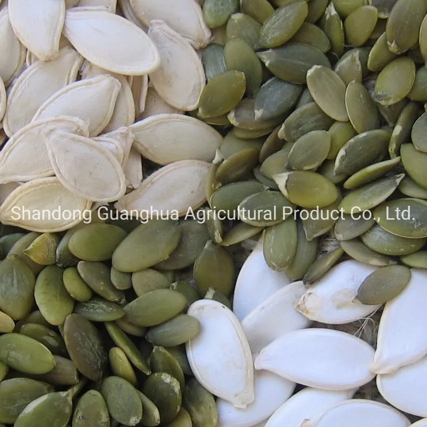 New Crop Pumpkin Seeds 2025 From China