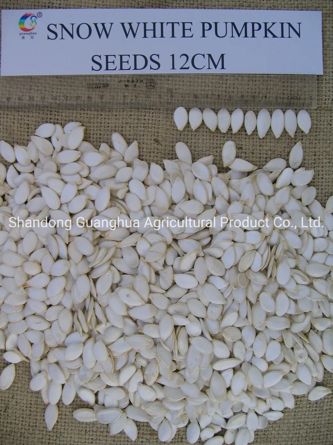 New Crop Pumpkin Seeds 2025 From China