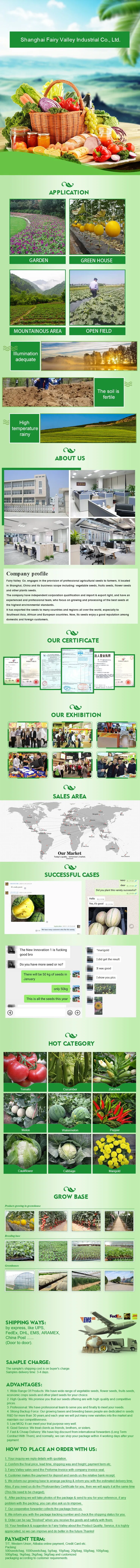 Hybrid F1 Green Sweet Pepper Seeds Bell Pepper Seeds for Growing-Spring Dawn