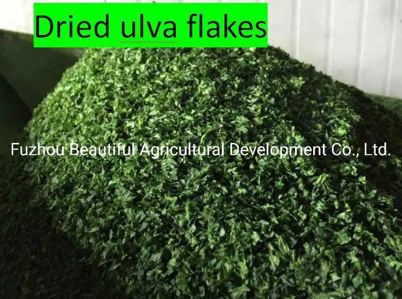 Factory Price Food Grade Kelp Powder Laminaria Powder