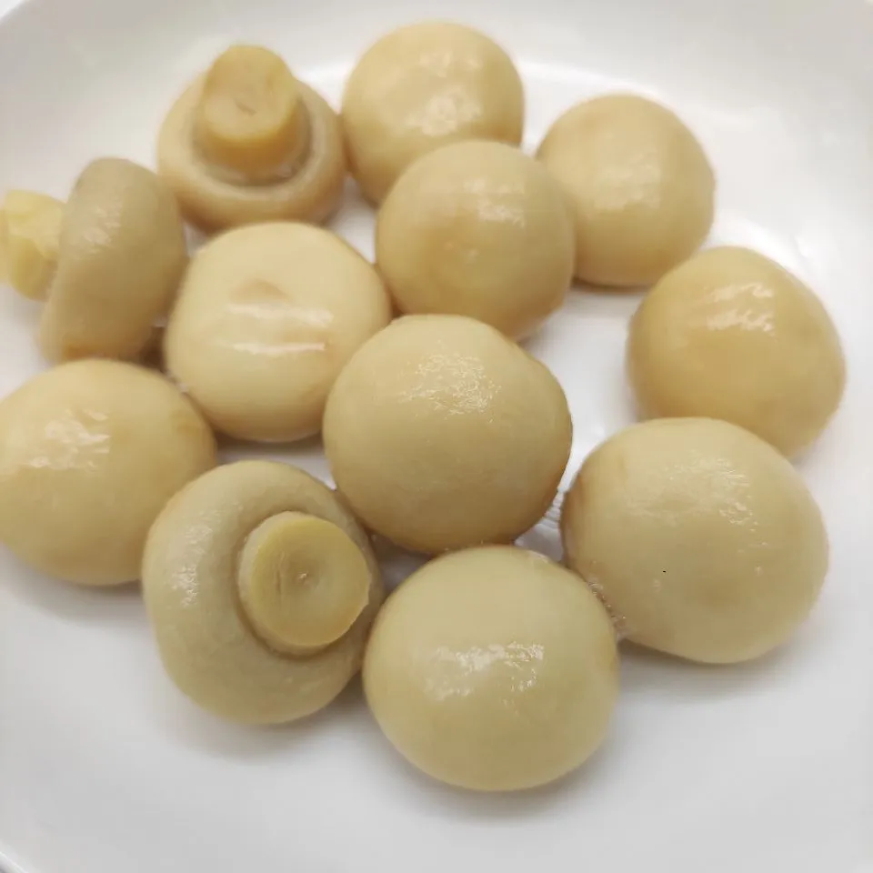 High Quality Canned Mushrooms Good Price China Manufacturer's Canned Vegetables