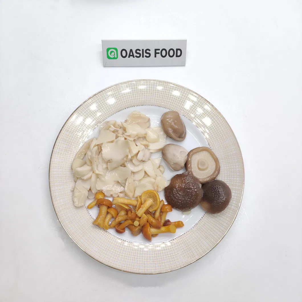 High Quality Canned Mushrooms Good Price China Manufacturer's Canned Vegetables