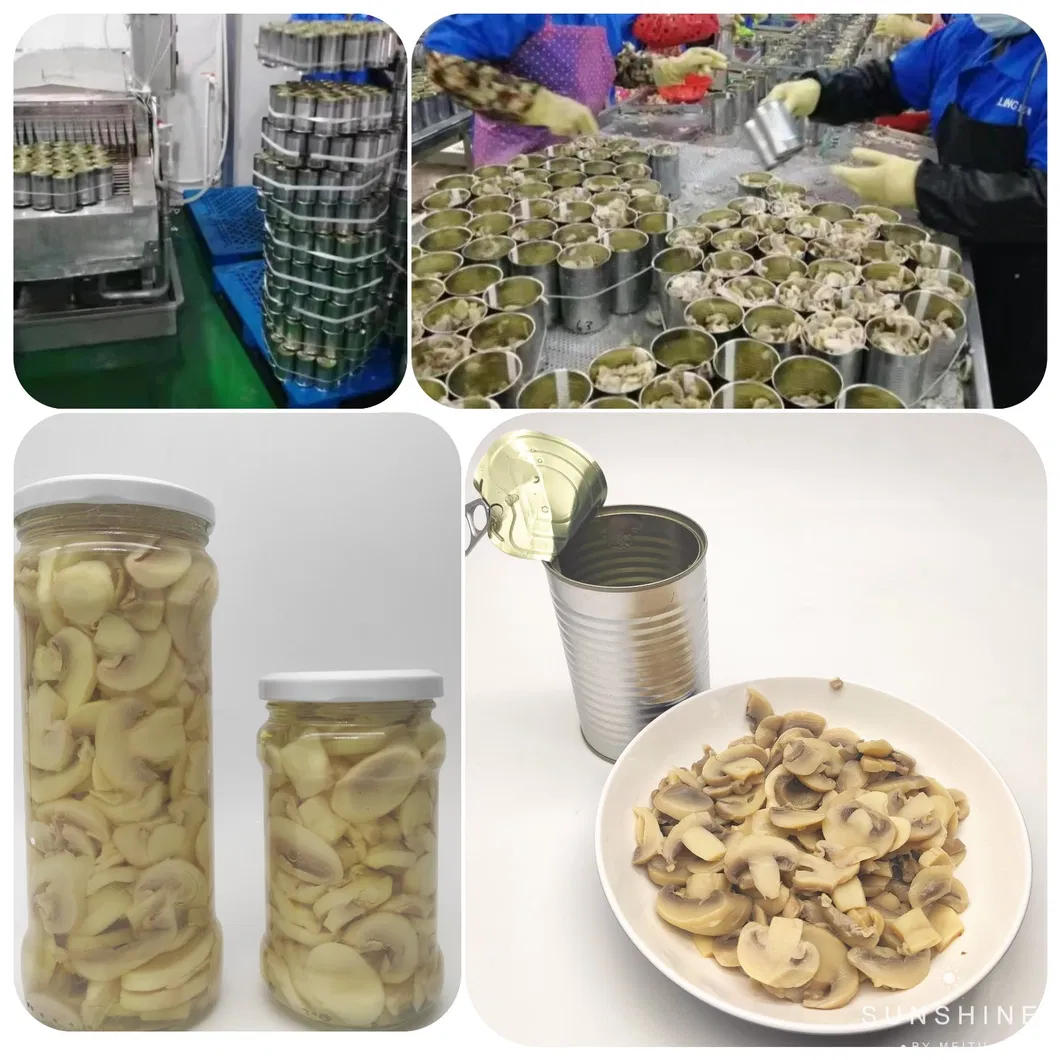 High Quality Canned Mushrooms Good Price China Manufacturer's Canned Vegetables