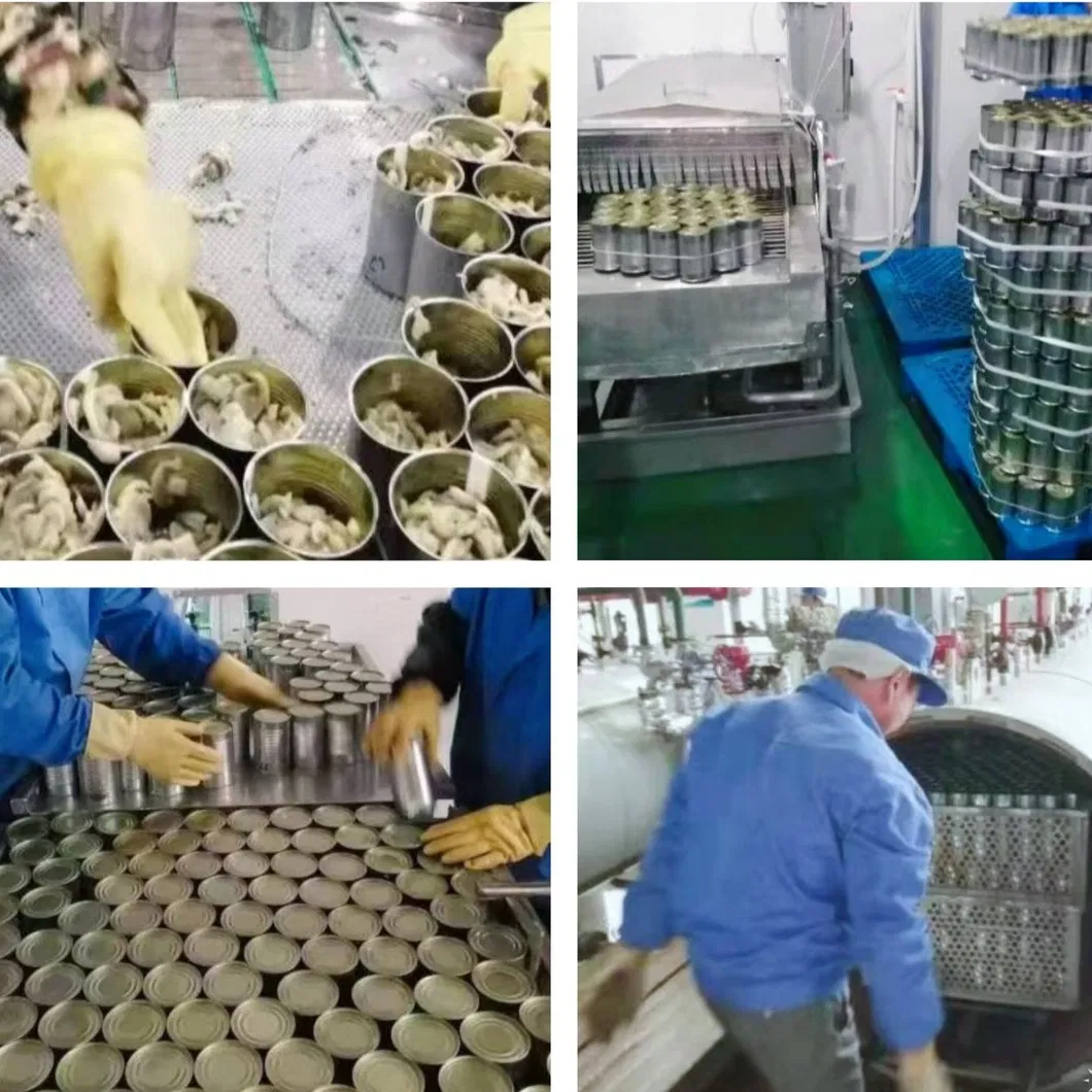 High Quality Canned Mushrooms Good Price China Manufacturer's Canned Vegetables