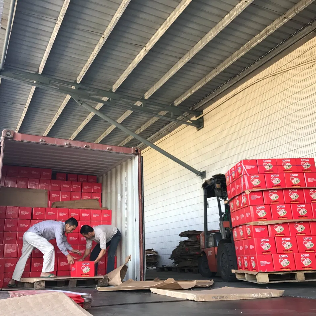 High Quality Canned Mushrooms Good Price China Manufacturer's Canned Vegetables