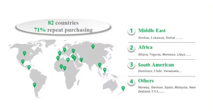 High Quality Canned Mushrooms Good Price China Manufacturer's Canned Vegetables