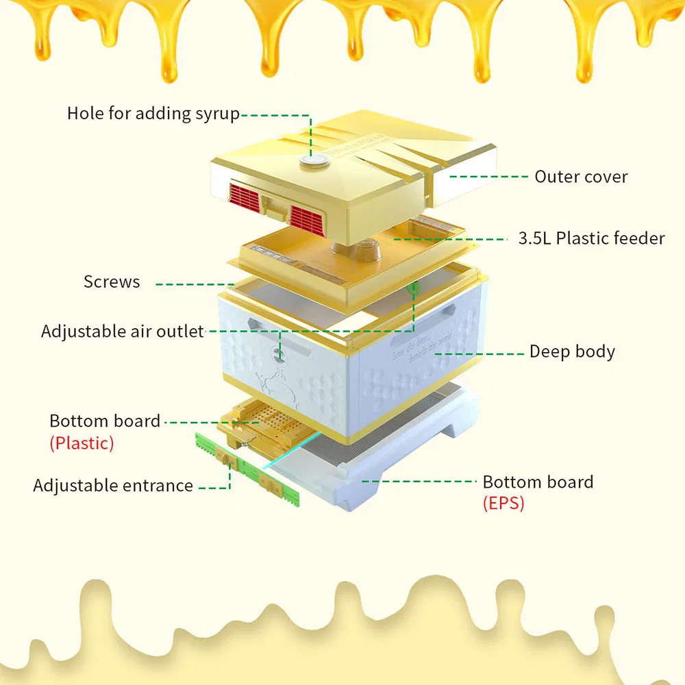 Apiculture Honey Bee Hive Dadant Plastic Beehive for Beekeeper