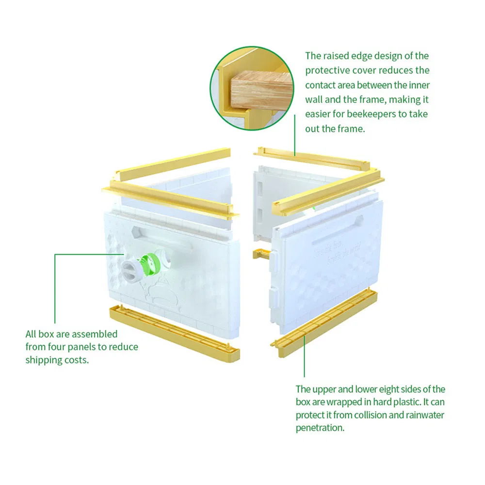 Apiculture Honey Bee Hive Dadant Plastic Beehive for Beekeeper