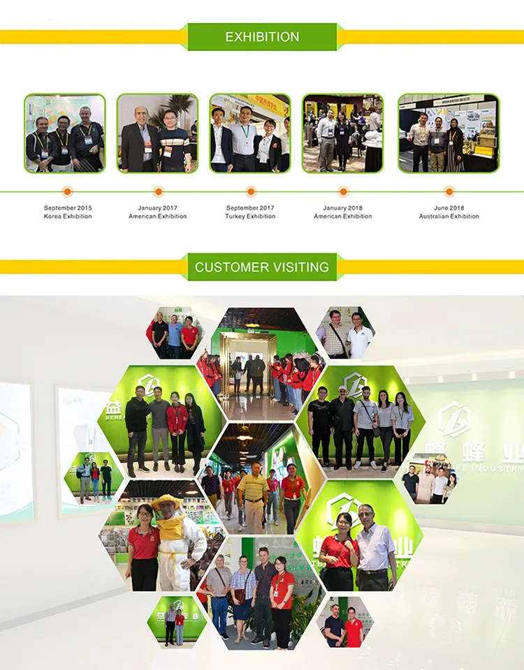 Apiculture Honey Bee Hive Dadant Plastic Beehive for Beekeeper