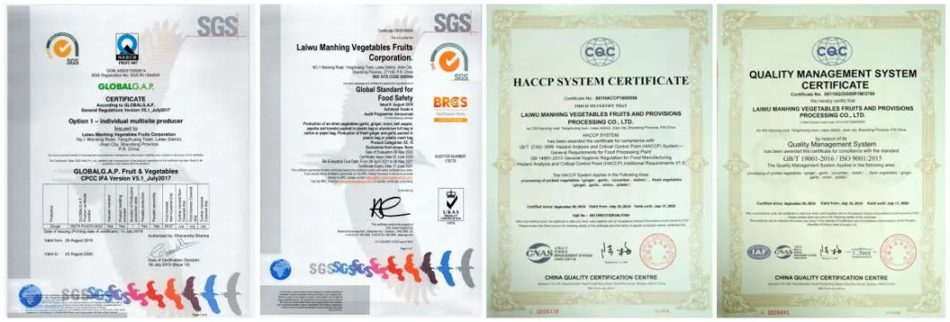 New Crop Good Quality Chinese Fresh White Garlic