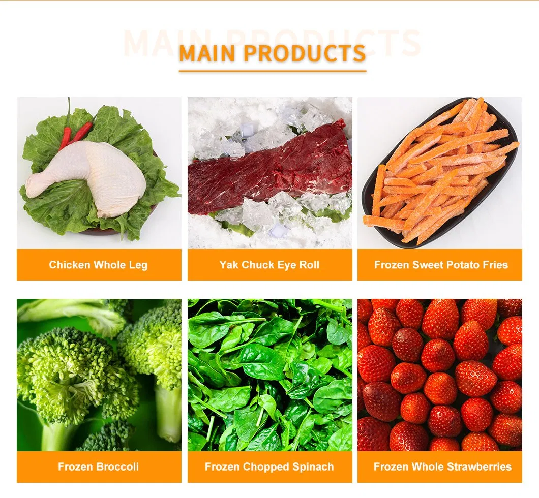 Halal Certified IQF Boneless Skinless Chicken Premium Juicy Texture Bulk Export Wholesale Ready Cook Frozen Chicken Breast