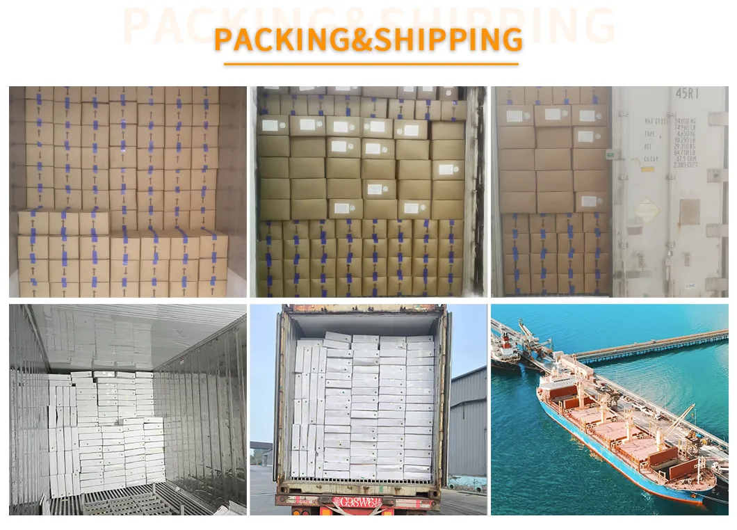 Halal Certified IQF Boneless Skinless Chicken Premium Juicy Texture Bulk Export Wholesale Ready Cook Frozen Chicken Breast