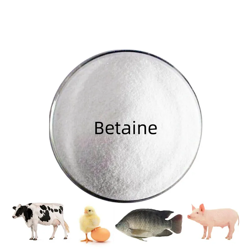 Feed Addtives Feed Grade Anhydrous Betaine /Glycine Betaine for Poultry