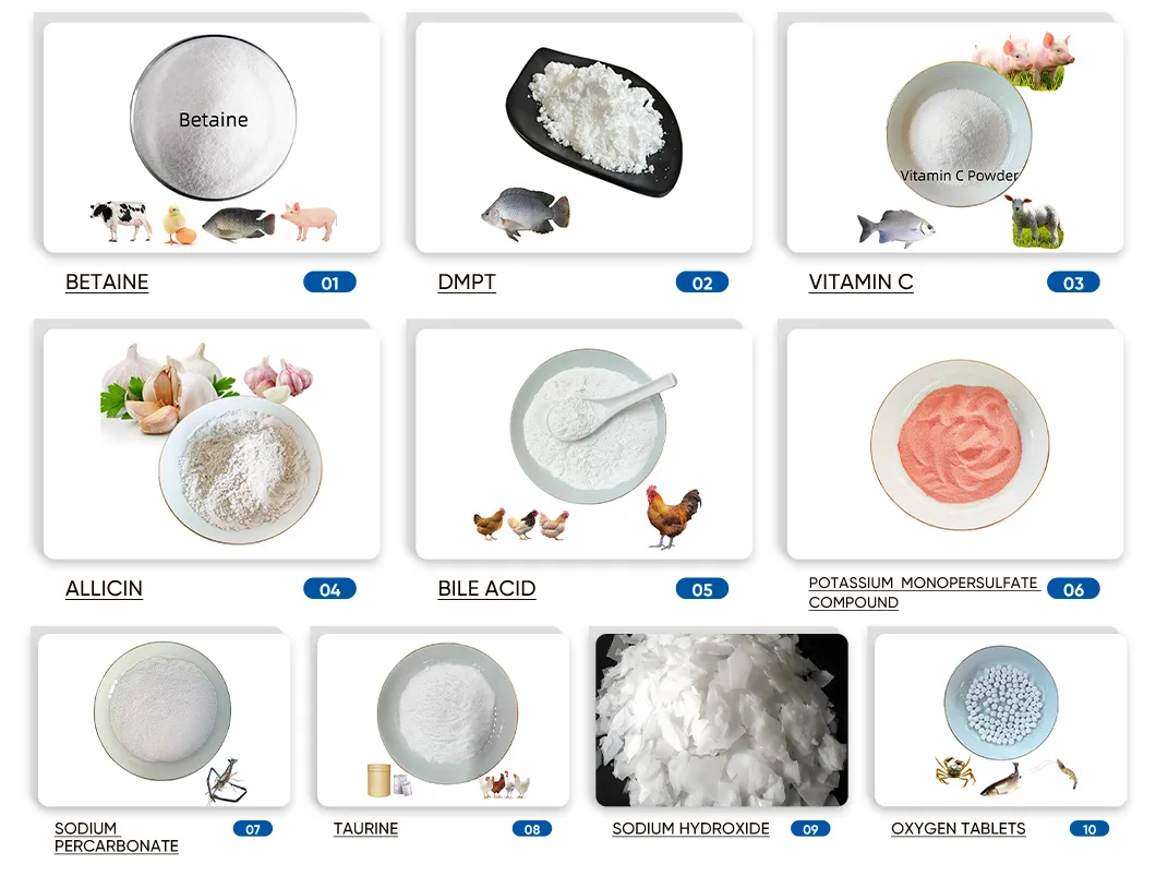Feed Addtives Feed Grade Anhydrous Betaine /Glycine Betaine for Poultry