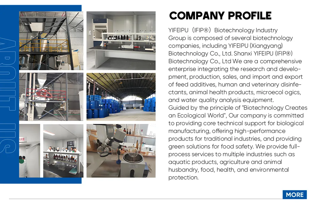 Feed Addtives Feed Grade Anhydrous Betaine /Glycine Betaine for Poultry