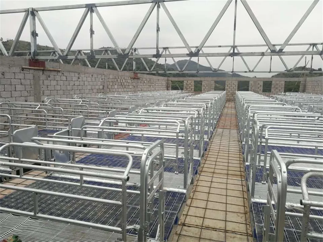 Livestock Husbandry Equipment Pig Farming Cages Fence Crate