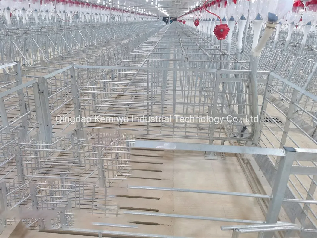 Livestock Husbandry Equipment Pig Farming Cages Fence Crate