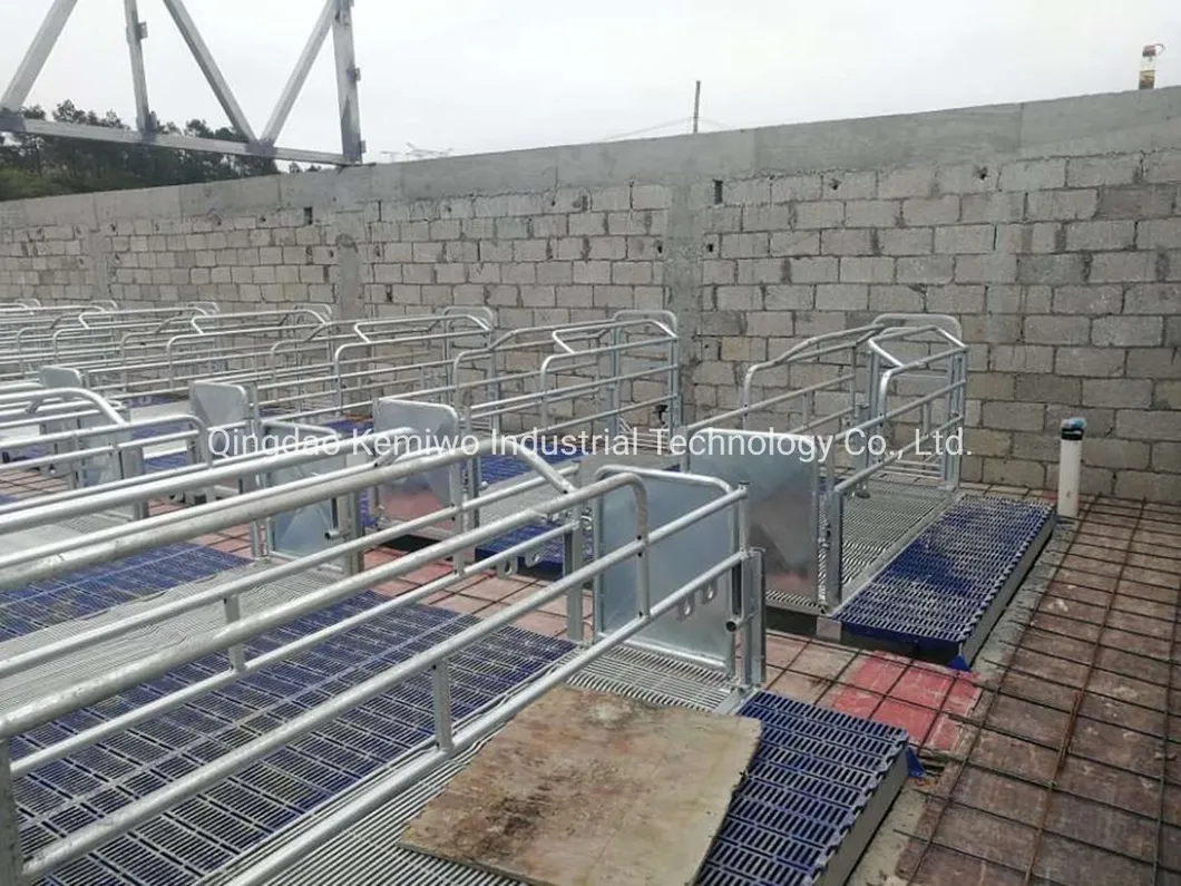 Livestock Husbandry Equipment Pig Farming Cages Fence Crate