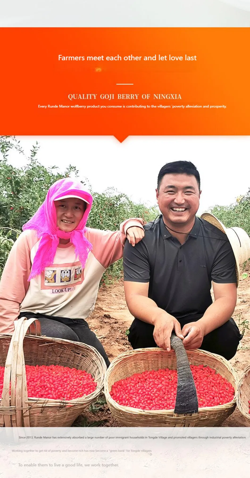 Top Grade Canned Goji Berries for Healthy Life with Cheap Price