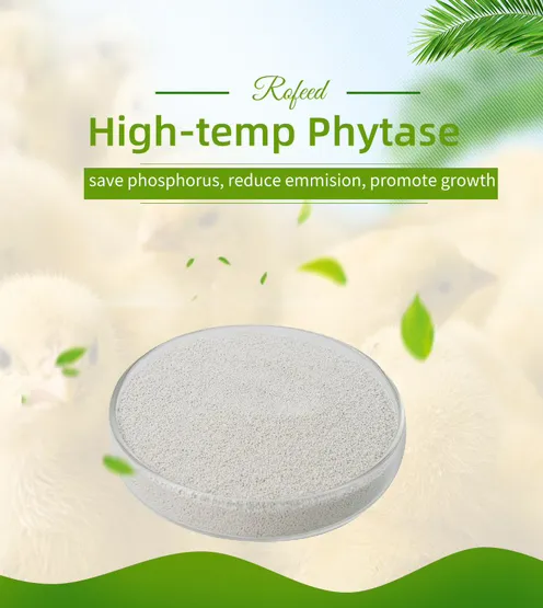 Phytase 10000 U/G Powder/Granular with High Temperature Resistance Poultry Feed Enzyme