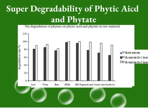 Phytase 10000 U/G Powder/Granular with High Temperature Resistance Poultry Feed Enzyme