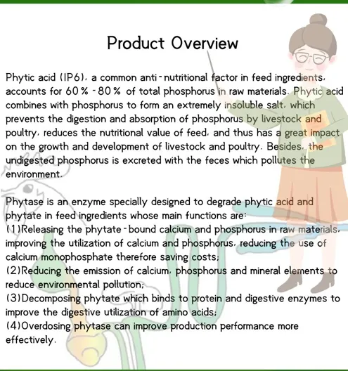 Phytase 10000 U/G Powder/Granular with High Temperature Resistance Poultry Feed Enzyme