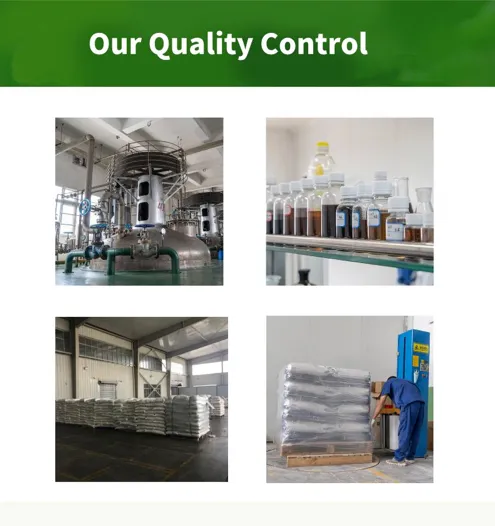 Phytase 10000 U/G Powder/Granular with High Temperature Resistance Poultry Feed Enzyme