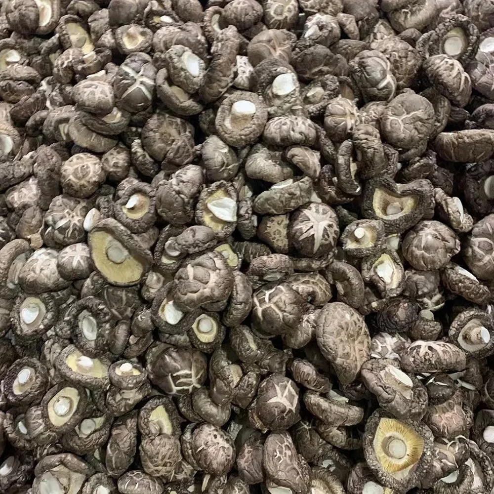 Wholesale High Quality Dried Shiitake Mushrooms