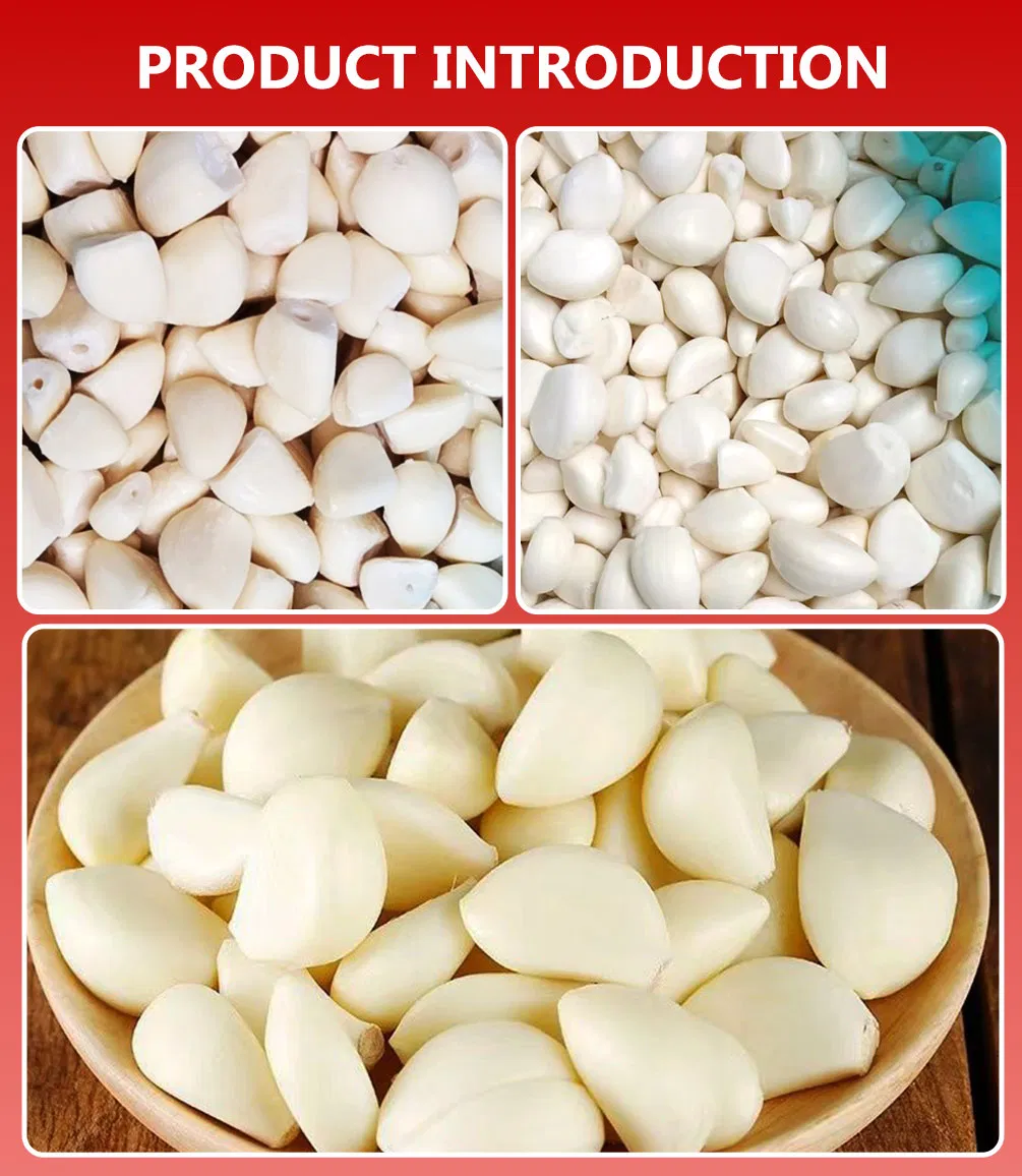Factory Supply with Best Price IQF Frozen Garlic Cloves Bulk