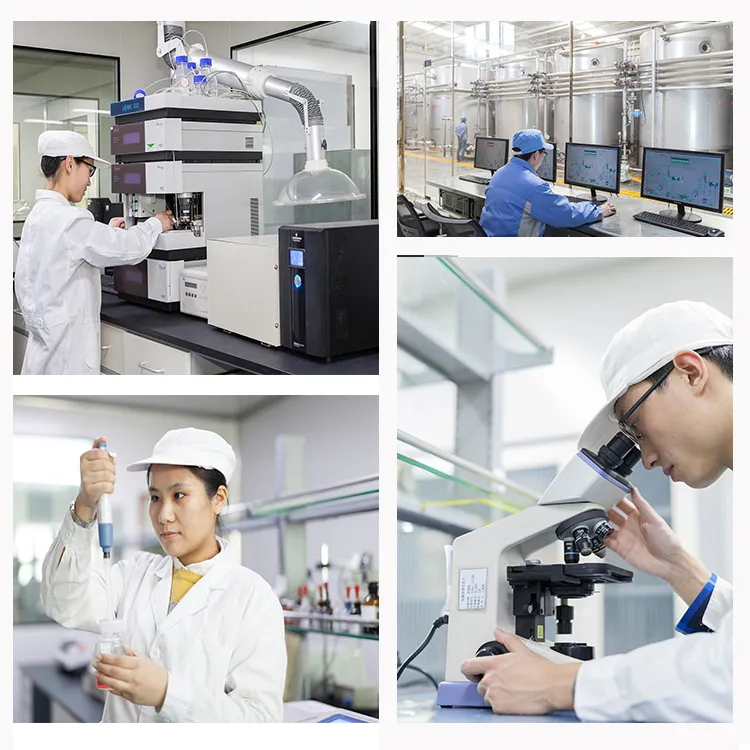 Bailong Chuangyuan 0.5 Ton Soluble Cassave Fiber Tapioca Resistant Dectrin