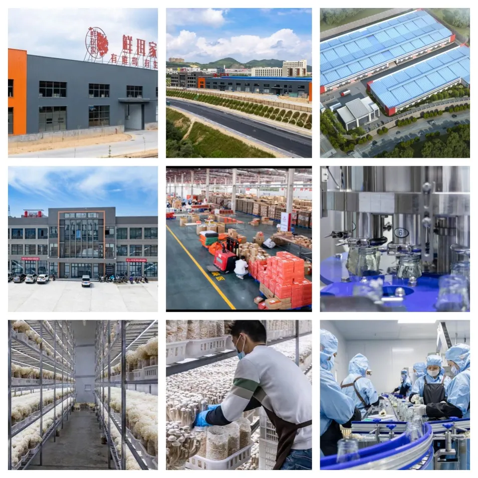 Organic Herbal Dried Tremella Vacuum-Packed Fresh-Keeping Easy Storage