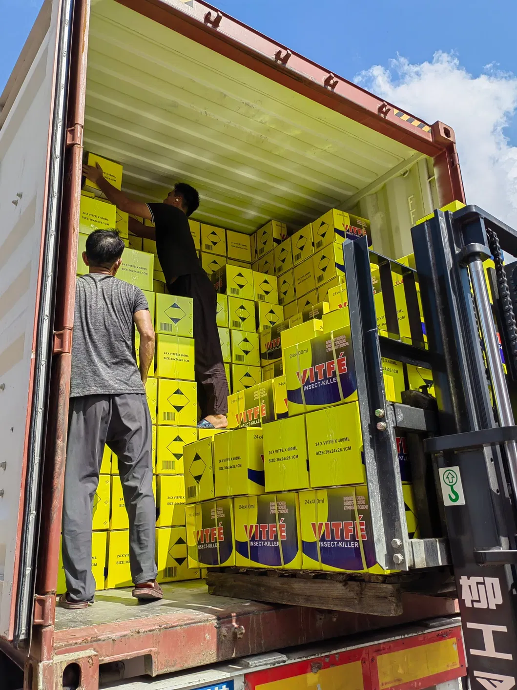 Africa Strong Effective Winged Insect Cockroach Spray Insecticide