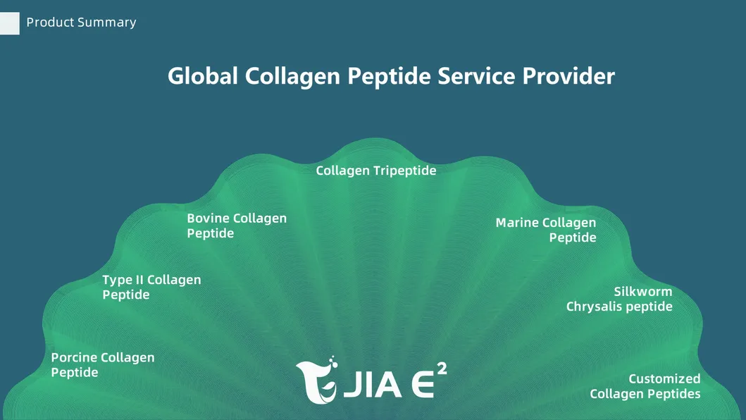 Bovine Collagen Peptides Hydrolized Bovine Collagen Best Healthy Collagen Bovine Collagen for Hair